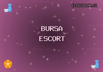 Bursa Escort: Yenişehir Escort, Orhangazi Escort, Mustafakemalpaşa Escort